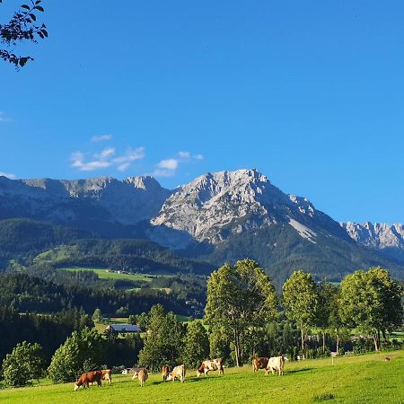 Bauernhof Neu-Endfelden, Guenter Widauer Villa Söll Dış mekan fotoğraf