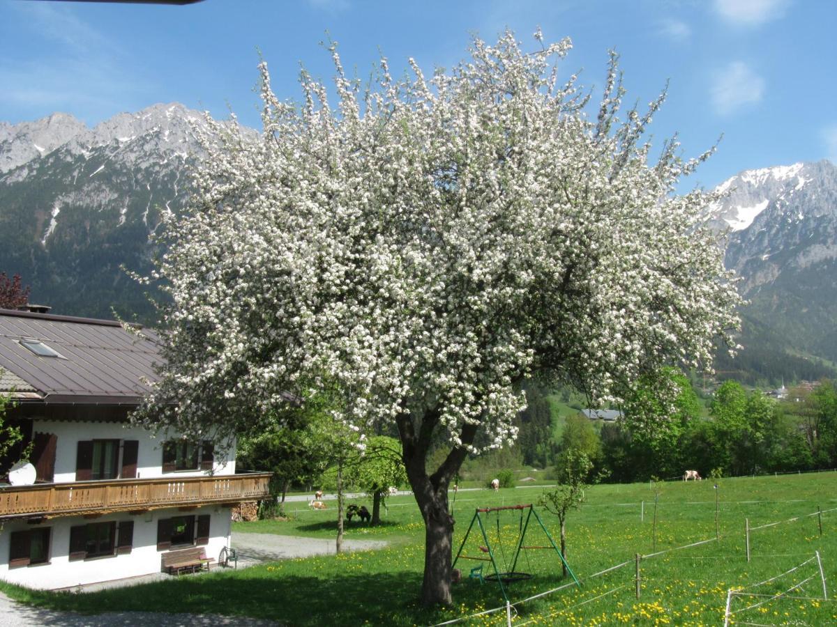 Bauernhof Neu-Endfelden, Guenter Widauer Villa Söll Dış mekan fotoğraf