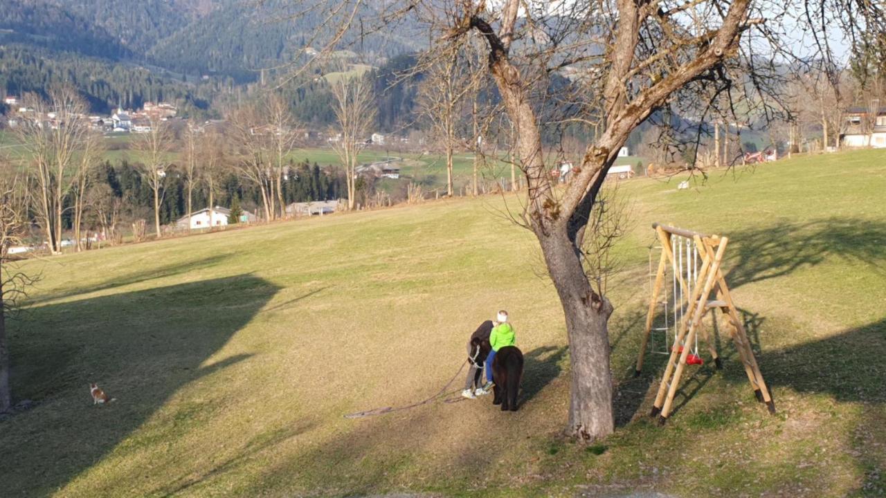 Bauernhof Neu-Endfelden, Guenter Widauer Villa Söll Dış mekan fotoğraf