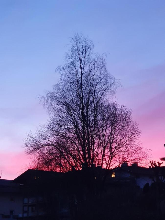 Bauernhof Neu-Endfelden, Guenter Widauer Villa Söll Dış mekan fotoğraf