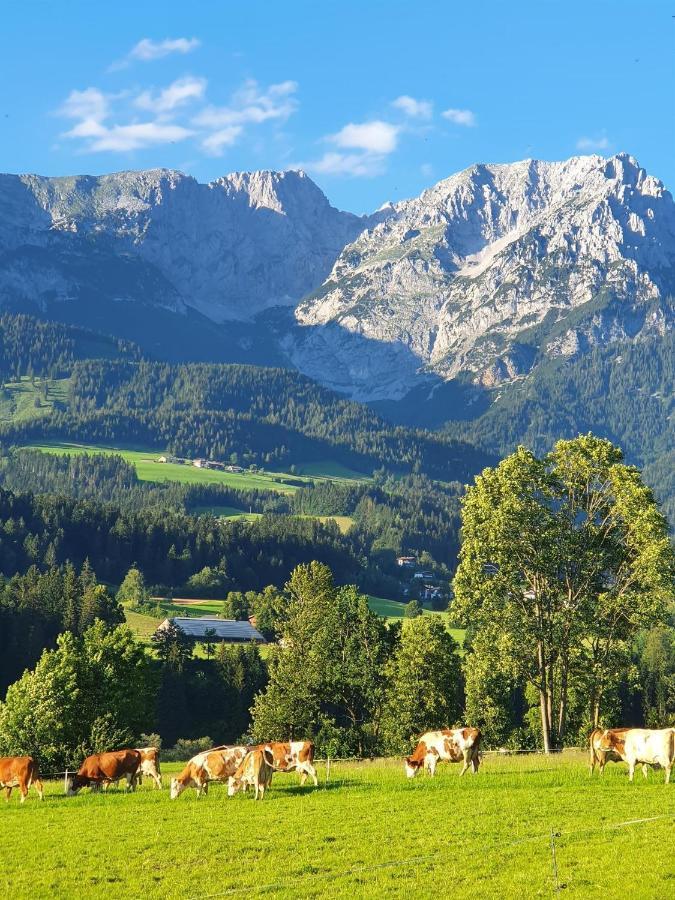 Bauernhof Neu-Endfelden, Guenter Widauer Villa Söll Dış mekan fotoğraf
